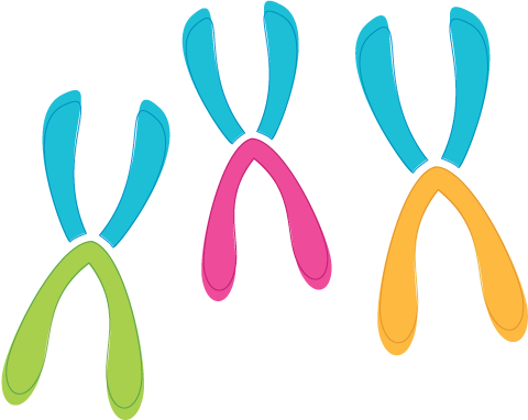 logotipo de la Federación Iberoamerica de Síndrome de Down